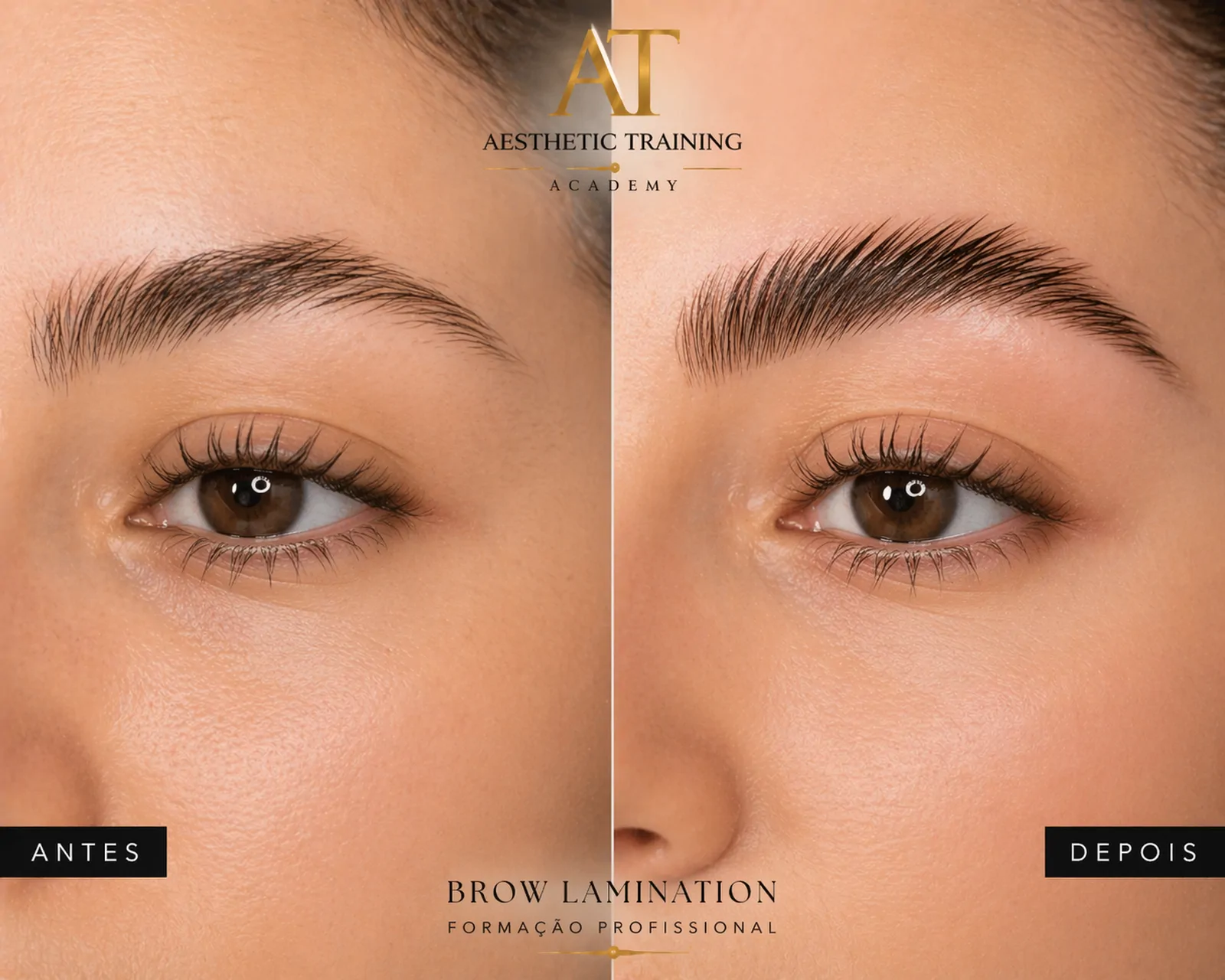 Brow Lamination — curso na Aesthetic Training Academy